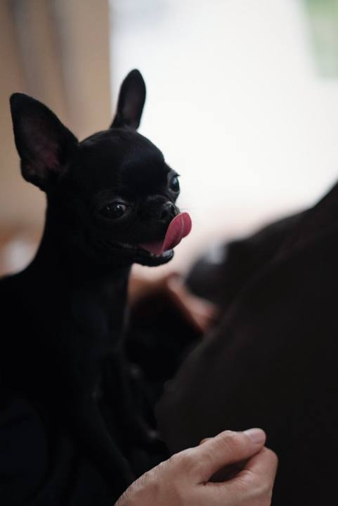 Creatures — #40
