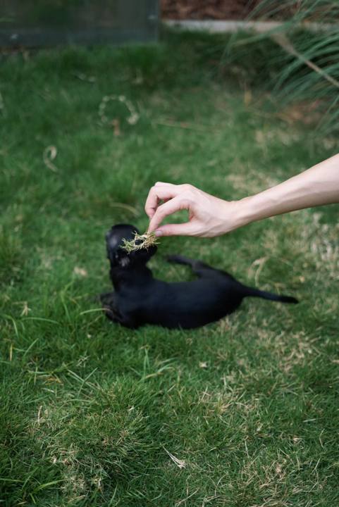 Portraits — #72